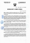 Vista preliminar de documento ResoluciónDirectoral-N028-2023-DIRESA