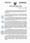 Vista preliminar de documento ResoluciónDirectoral-N029-2023-DIRESA