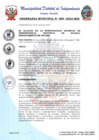 Vista preliminar de documento Ordenanza Municipal N° 009-2023-MDI