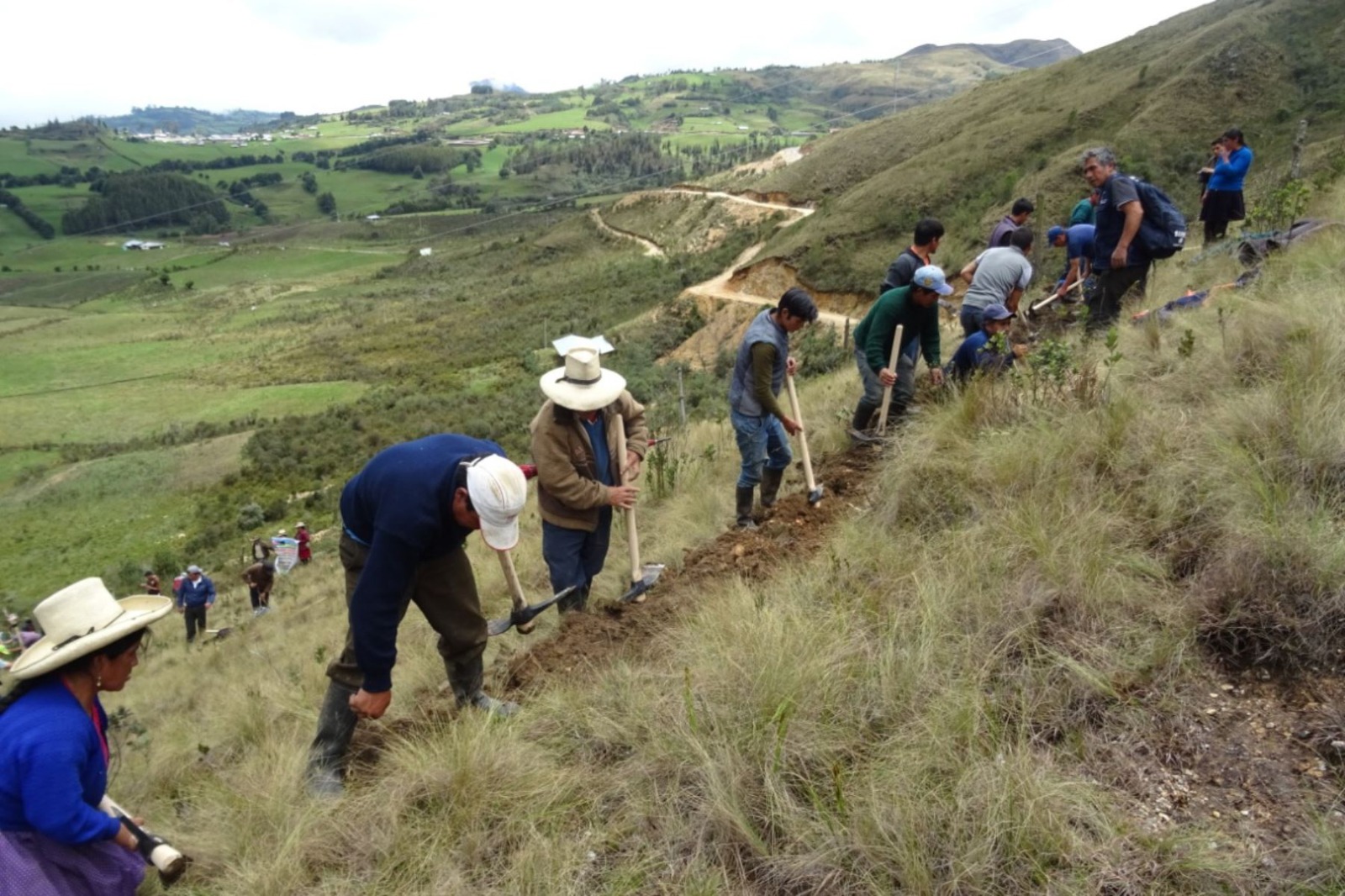 Recuperación de praderas Ayacucho