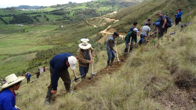 Recuperación de praderas Ayacucho