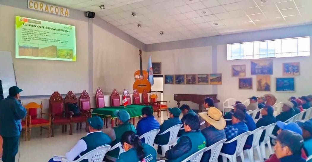 Recuperación de praderas Ayacucho