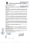 Vista preliminar de documento ra_117