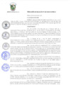 Vista preliminar de documento r132