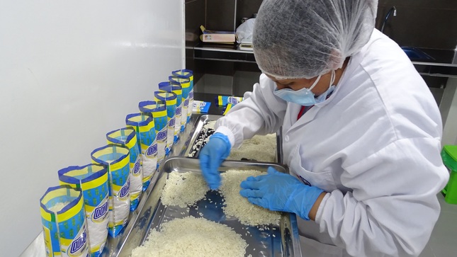 Servicio alimentario escolar