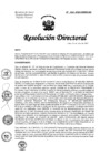 Vista preliminar de documento RESOLUCION DIRECTORAL N° 122-2023-DG