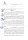 Vista preliminar de documento r96