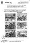 Vista preliminar de documento INFORME DE CUMPLIMIENTO DE ACTIVIDADES-5