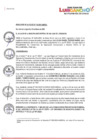 Vista preliminar de documento R.A.Nº0133-2023.pdf
