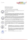 Vista preliminar de documento R.A.Nº208-2023.pdf