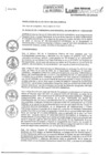 Vista preliminar de documento R.A.Nº290-023.pdf