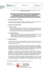 Vista preliminar de documento TDR- 1003