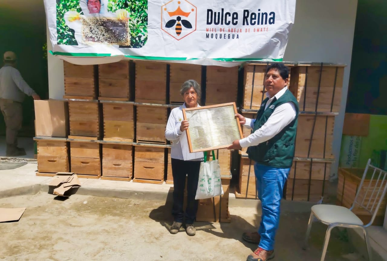 Subvención Moquegua
