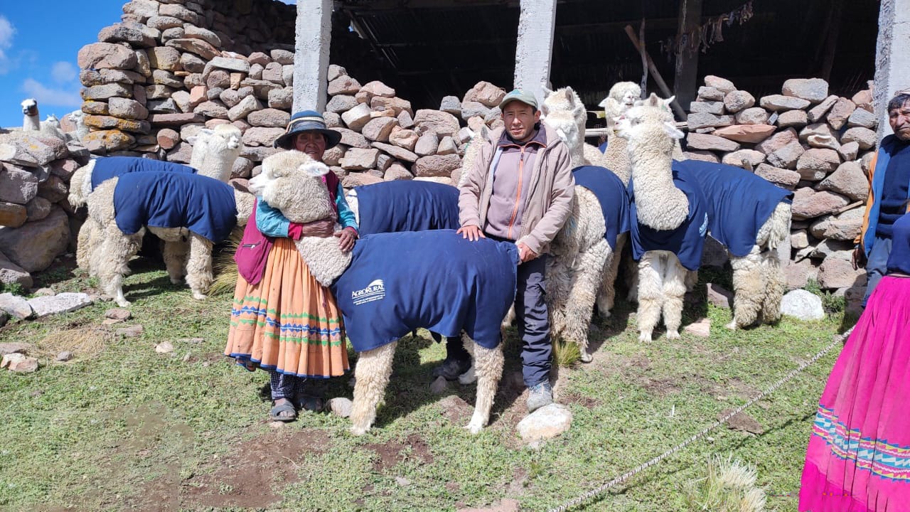 Subvención Moquegua