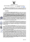 Vista preliminar de documento RGSR Nº 54