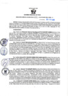 Vista preliminar de documento RGSR Nº 60