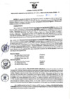 Vista preliminar de documento RGSR Nº 61
