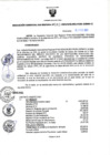 Vista preliminar de documento RGSR Nº 63