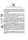 Vista preliminar de documento RGSR N° 75