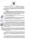 Vista preliminar de documento RGSR N° 94