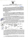 Vista preliminar de documento RGSR N° 95