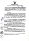 Vista preliminar de documento RGSR N° 96