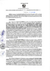 Vista preliminar de documento RGSR N° 98