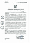 Vista preliminar de documento RDR Nº 0001-2023 GOB.REG-HVCA DIRESA