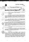 Vista preliminar de documento RDR 0568-2023