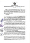 Vista preliminar de documento RGSR N° 99