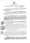 Vista preliminar de documento RGSR N° 101