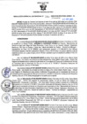 Vista preliminar de documento RGSR N° 104