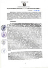 Vista preliminar de documento RGSR N° 106