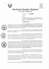 Vista preliminar de documento RER 202