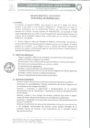 Vista preliminar de documento Anexo RER 202