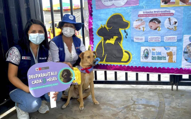 3 de Estudiantes realizan murales de concientización sobre la rabia canina en San Juan de Lurigancho