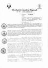 Vista preliminar de documento RER 203