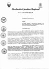 Vista preliminar de documento RER 213