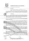 Vista preliminar de documento Acuerdo de Concejo Nº 046-2020/MVESPwTN8