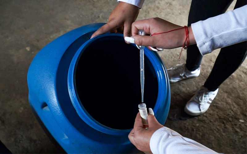 4 de Lima Centro: crean plataforma informática en tiempo real para vigilancia y control de dengue