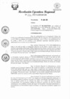 Vista preliminar de documento RER 226