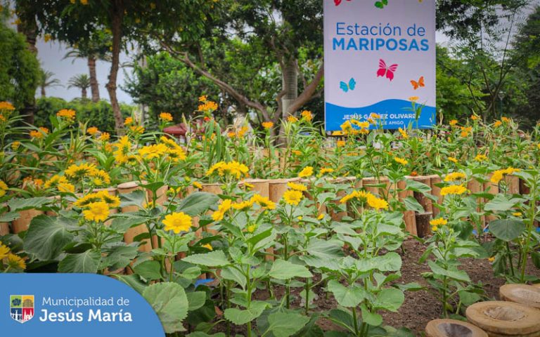 Mejoramiento de las áreas verdes e instalación de gras.
💡 Renovación del sistema de iluminación.
🌱 Instalación de riego tecnificado.
🌵 Creación del cactario y mantenimiento de la pérgola.
🎠 Mantenimiento de los juegos infantiles y ¡mucho más!