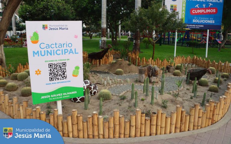 Mejoramiento de las áreas verdes e instalación de gras.
💡 Renovación del sistema de iluminación.
🌱 Instalación de riego tecnificado.
🌵 Creación del cactario y mantenimiento de la pérgola.
🎠 Mantenimiento de los juegos infantiles y ¡mucho más!