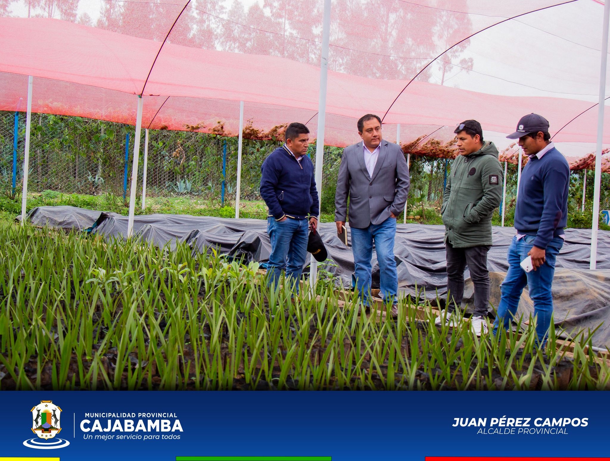 Alcalde Supervisa Avance De Producción De Plantones En El Vivero Municipal  