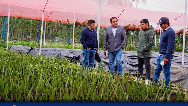 Alcalde Supervisa Avance De Producción De Plantones En El Vivero Municipal  