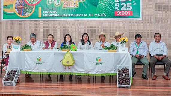 conferencia palta 3