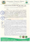 Vista preliminar de documento RESOLUCION DE ALDALDIA N 41