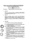 Vista preliminar de documento directiva_001_graf