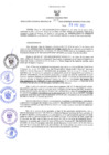 Vista preliminar de documento RES-317-2023-GRDS