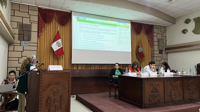 FOTO 01
